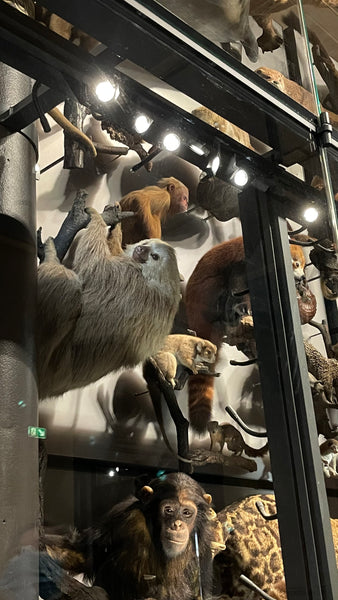 “Siena” bracelet silver /24 k goldplated